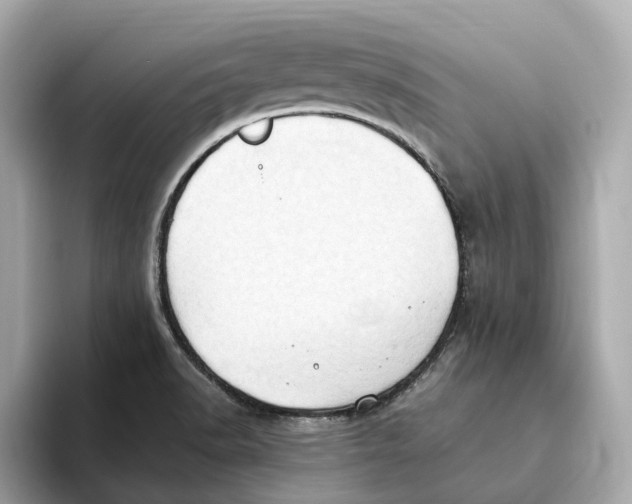 X0000093521518200711021036