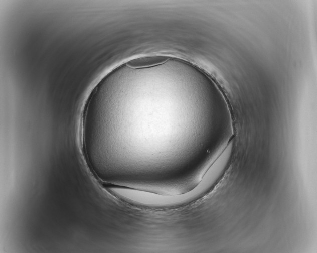 X0000093521520200711021036