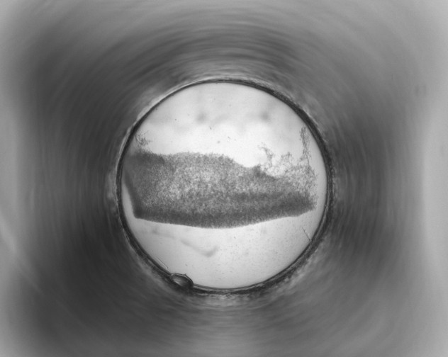 X0000093521521200711021036