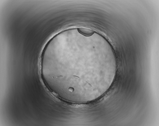 X0000093521522200711021037