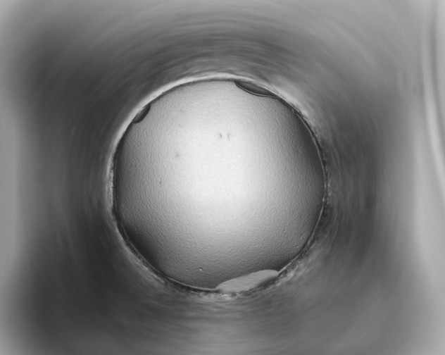 X0000093521524200711021037