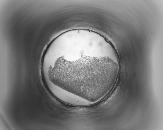 X0000093521525200711021037