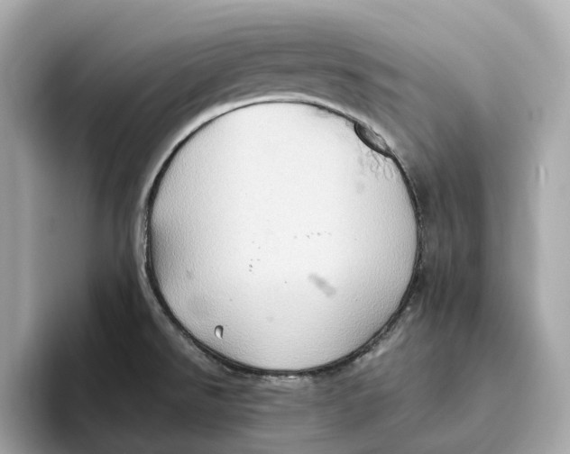 X0000093521526200711021037