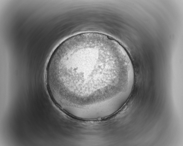 X0000093521527200711021037