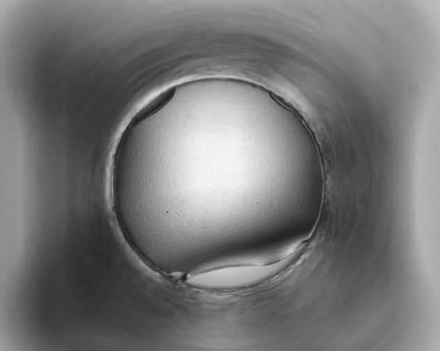 X0000093521528200711021037