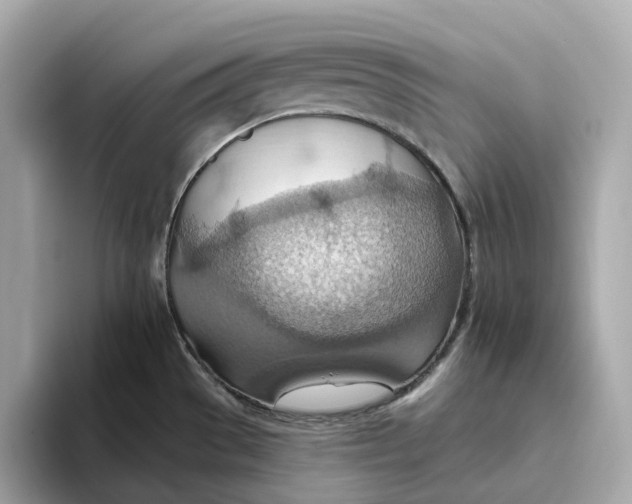 X0000093521529200711021037