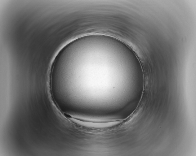 X0000093521530200711021037