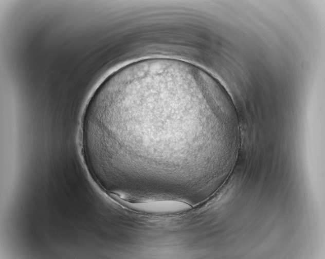 X0000093521531200711021037