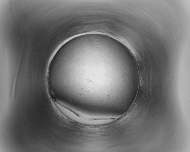 X0000093521532200711021037