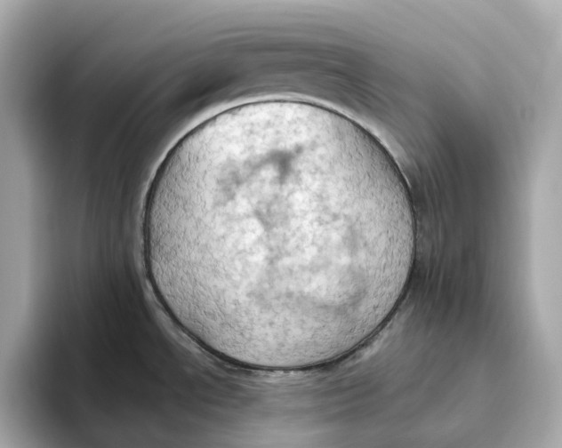 X0000093521534200711021037