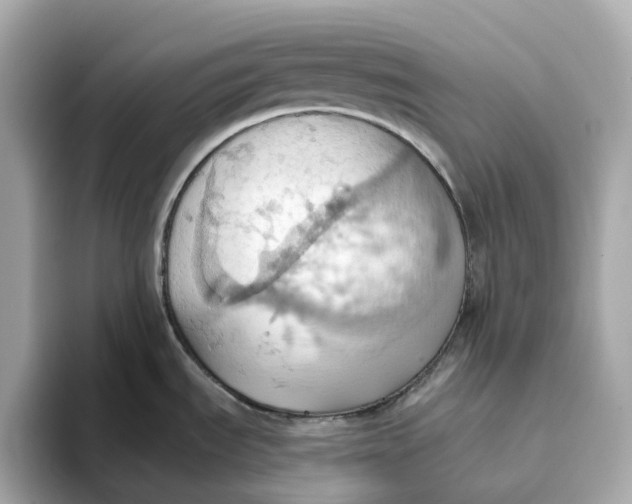 X0000093521535200711021037