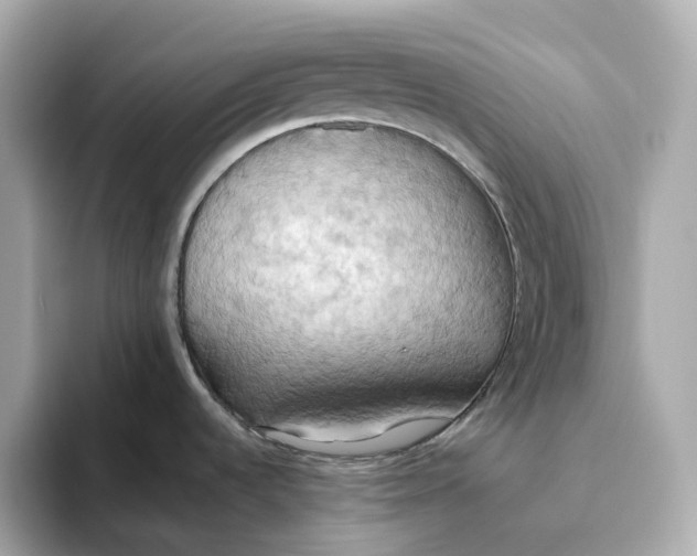 X0000093521536200711021037