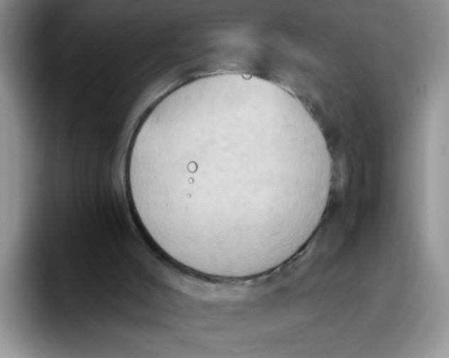 X0000093520004200711091748