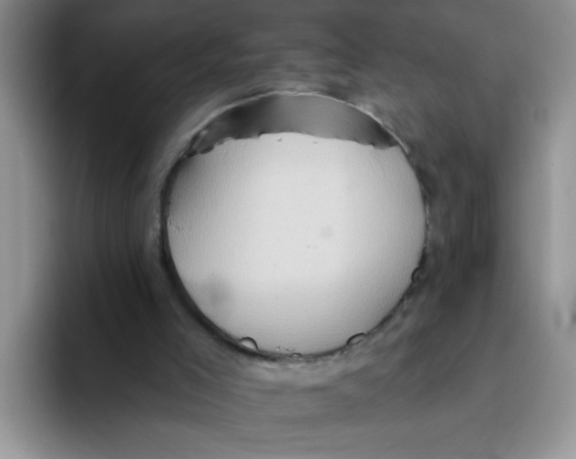 X0000093520005200711091748