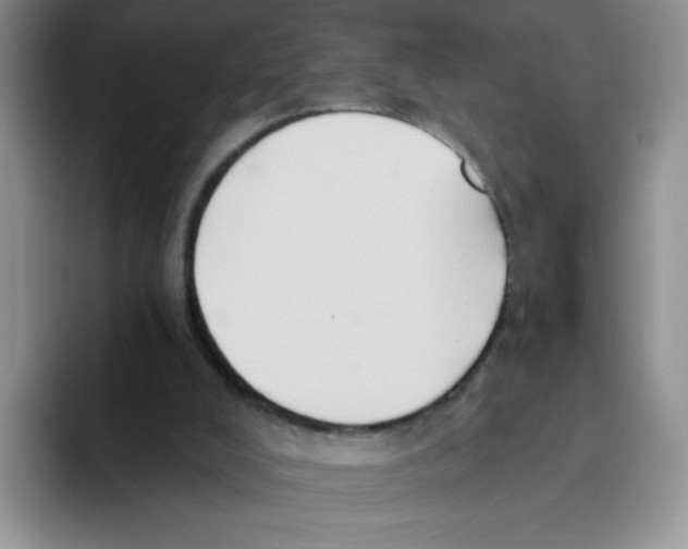 X0000093520008200711091748