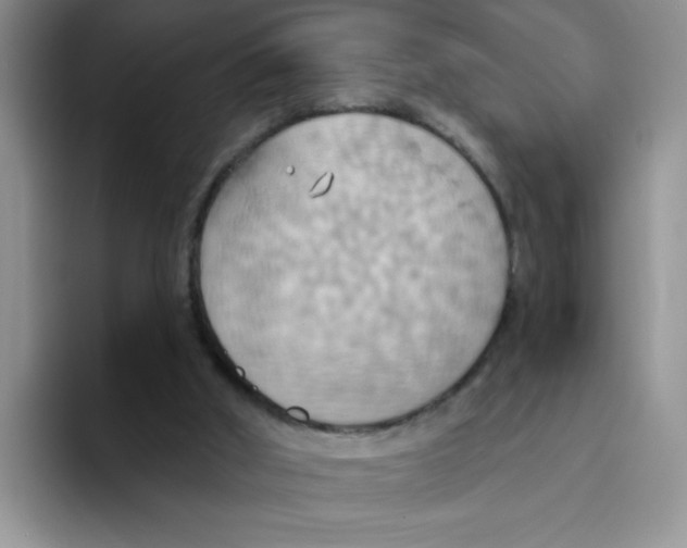 X0000093520010200711091748