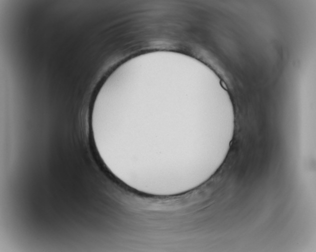 X0000093520011200711091747