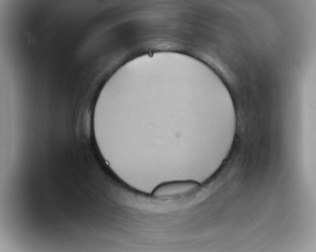 X0000093520014200711091747