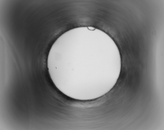 X0000093520017200711091747