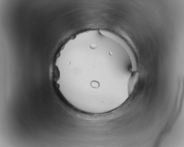 X0000093520019200711091747