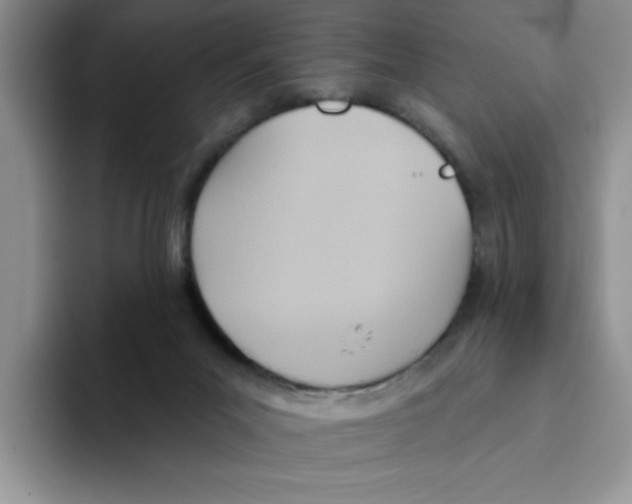 X0000093520023200711091747