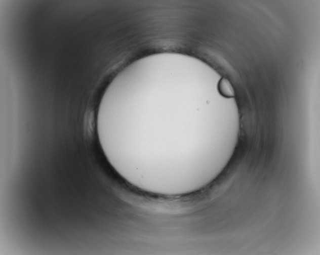 X0000093520024200711091747