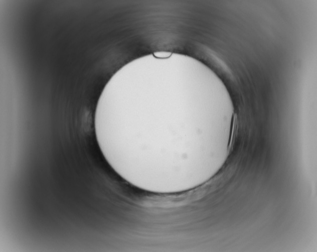 X0000093520025200711091747