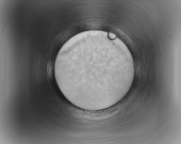 X0000093520026200711091747