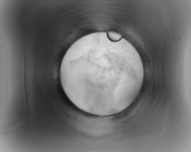 X0000093520032200711091747