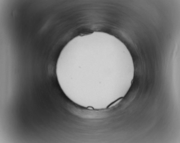 X0000093520044200711091747