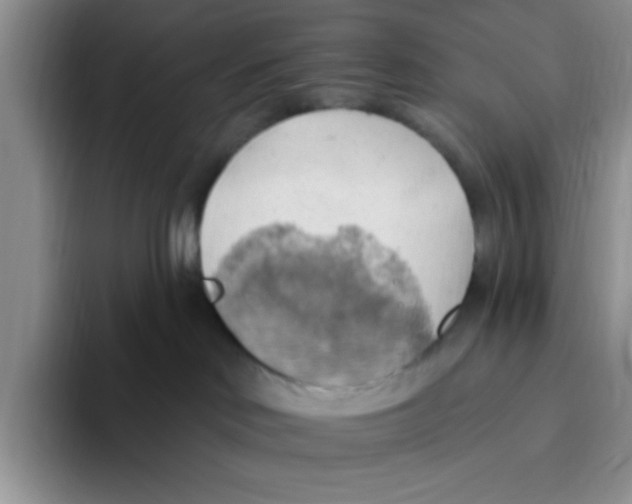 X0000093520046200711091747