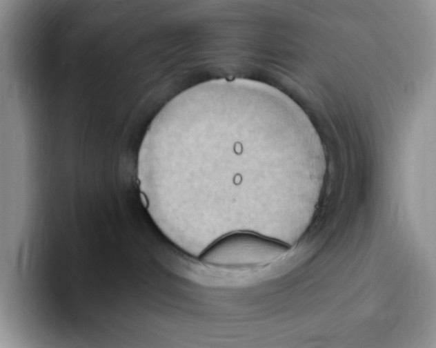 X0000093520048200711091747