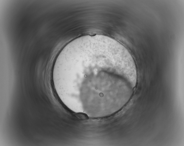 X0000093520049200711091747