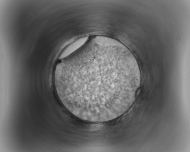 X0000093520050200711091747