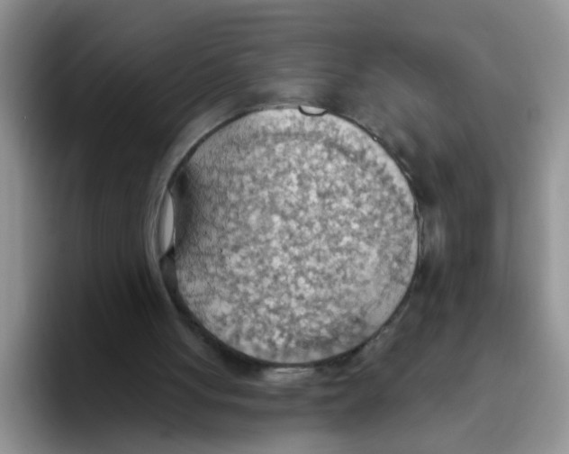 X0000093520051200711091747