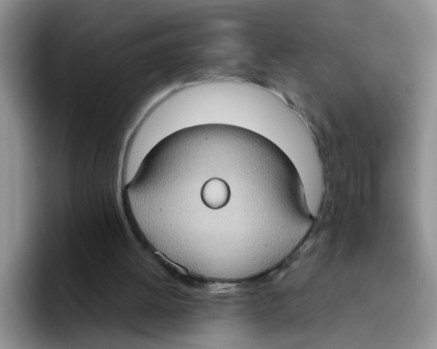 X0000093520052200711091747