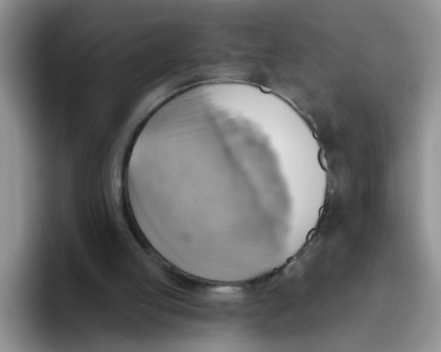 X0000093520053200711091747