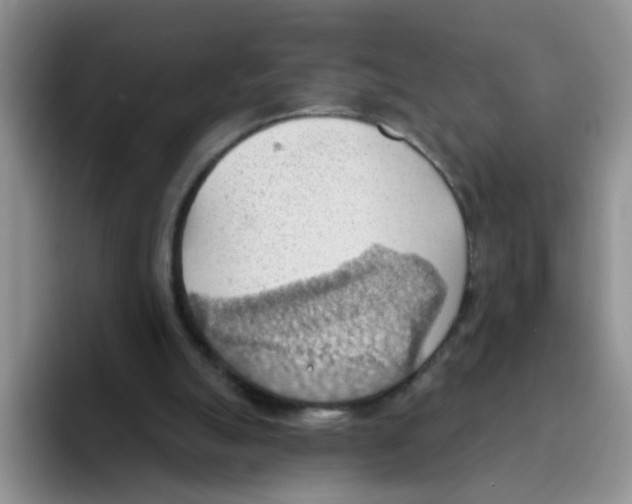 X0000093520055200711091747