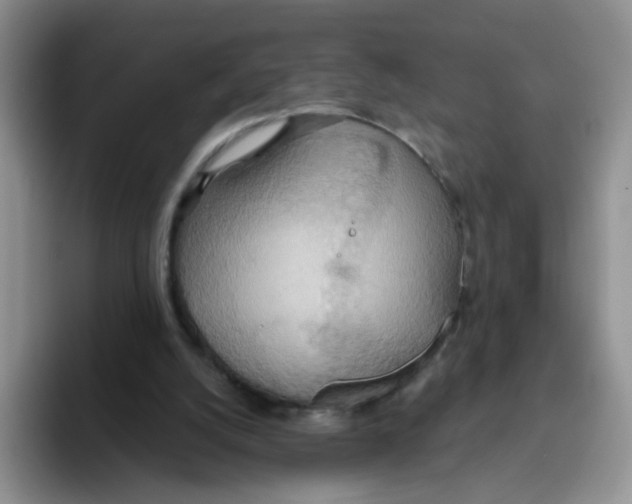 X0000093520056200711091747