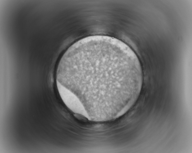 X0000093520059200711091747