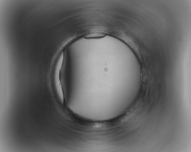 X0000093520060200711091747