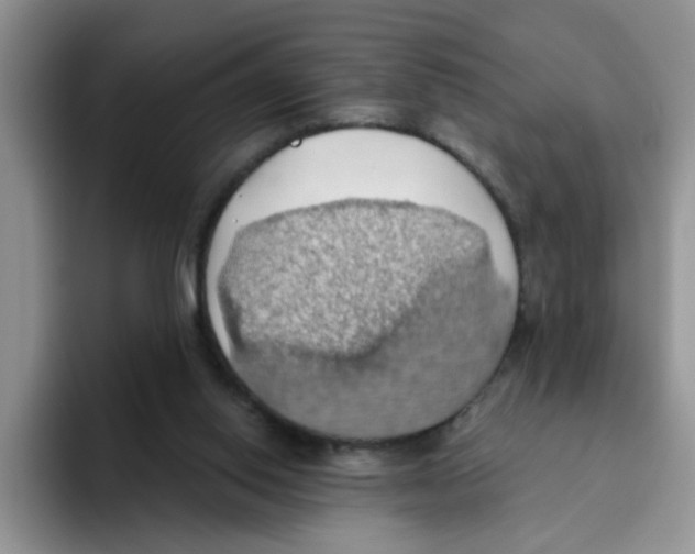 X0000093520062200711091747