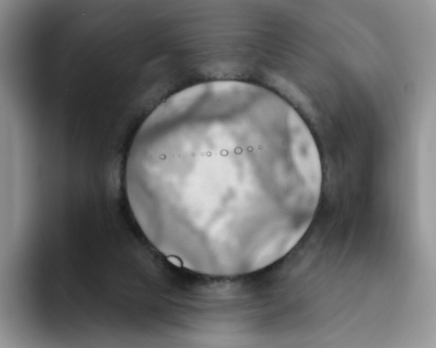 X0000093520065200711091747