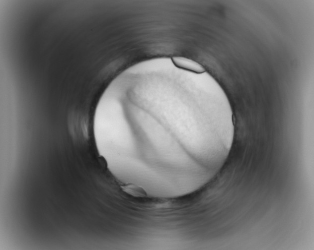 X0000093520068200711091747