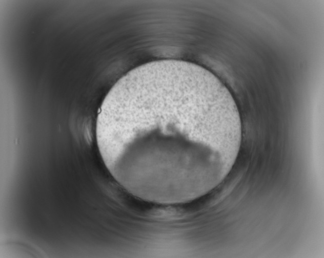 X0000093520069200711091747