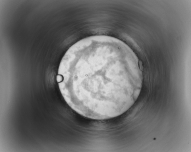 X0000093520071200711091747