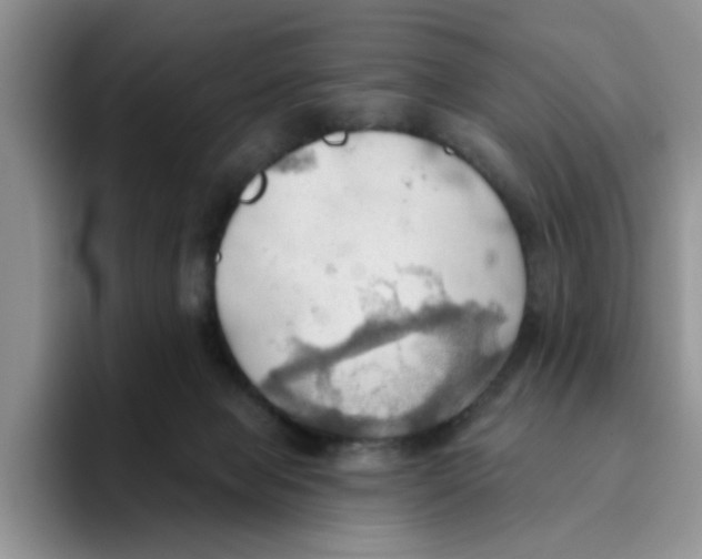 X0000093520077200711091747