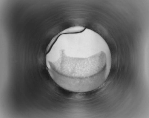 X0000093520078200711091747