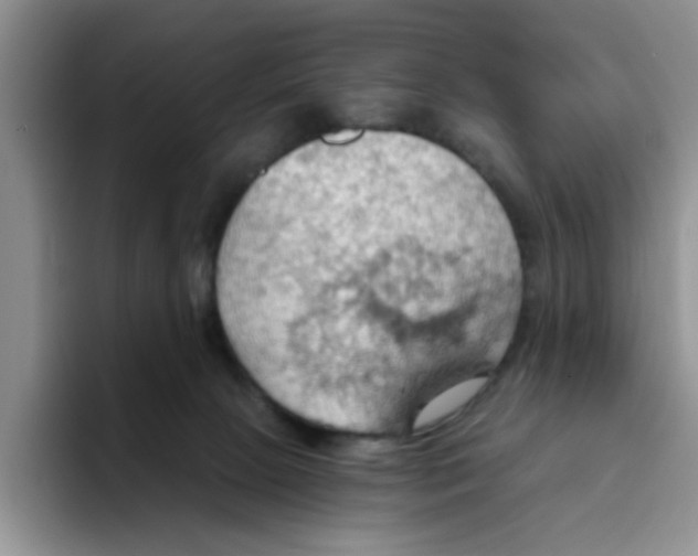 X0000093520081200711091747