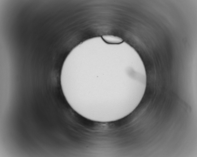 X0000093520083200711091747